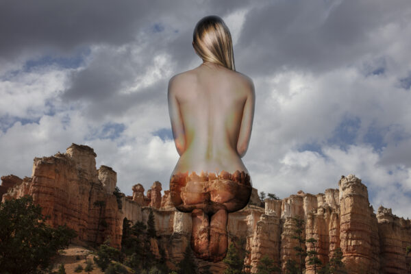 Lady In Waiting
